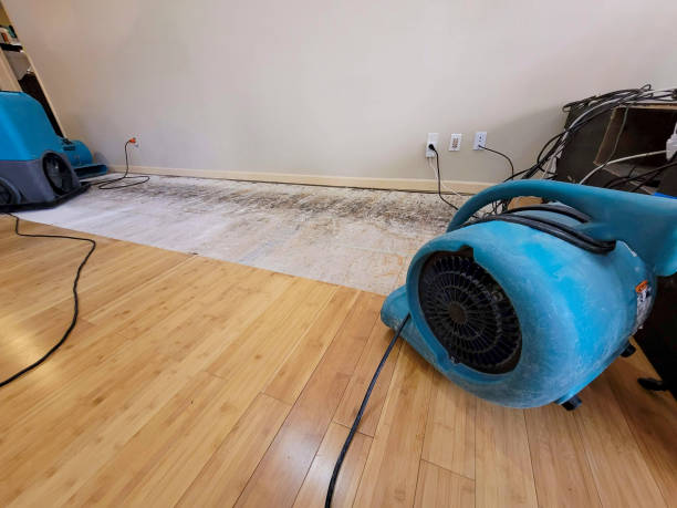 Professional Flood Damage Cleanup technician working in Oregon City, OR
